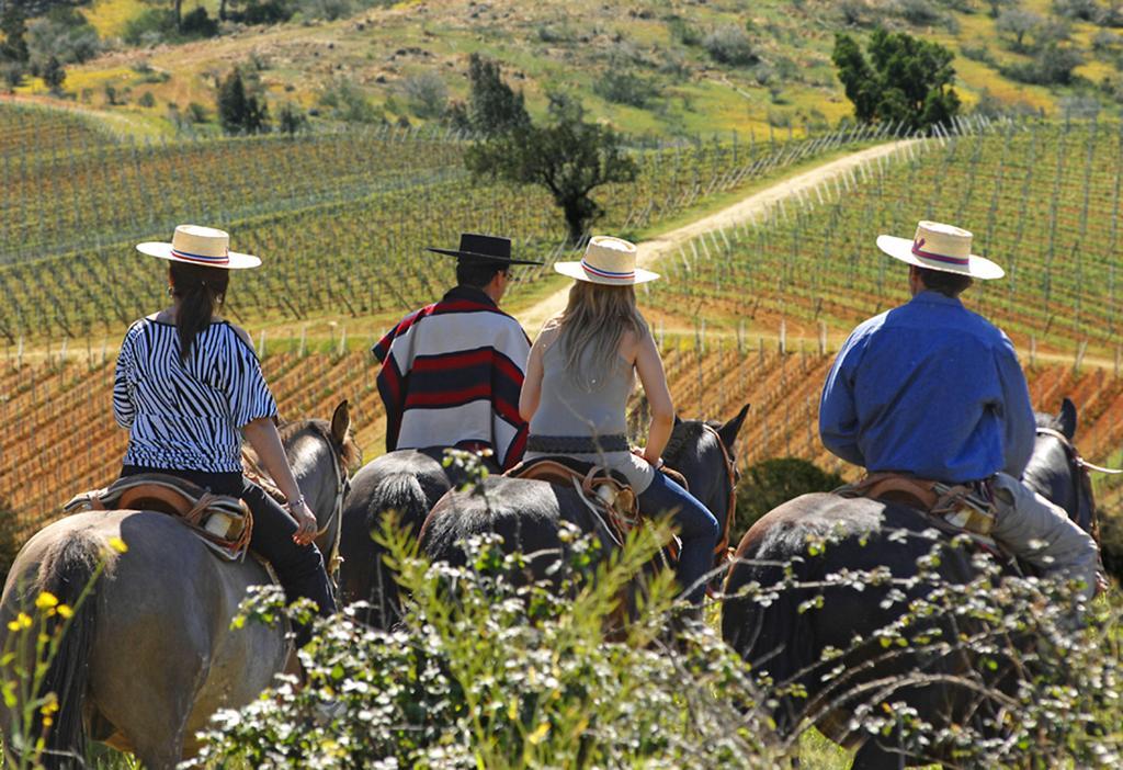 منزل الضيف Lagunillas  في La Casona At Matetic Vineyards المظهر الخارجي الصورة