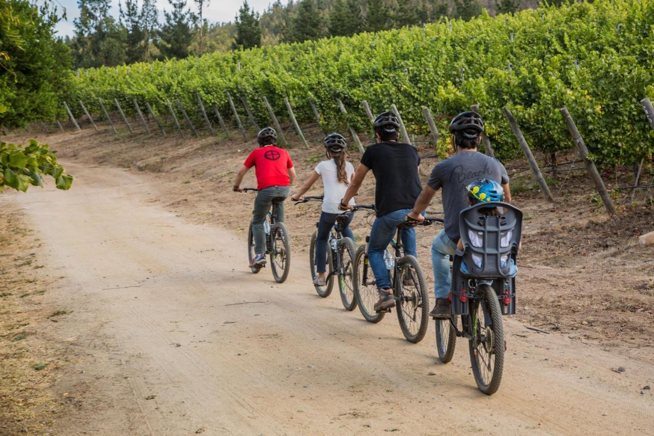 منزل الضيف Lagunillas  في La Casona At Matetic Vineyards المظهر الخارجي الصورة